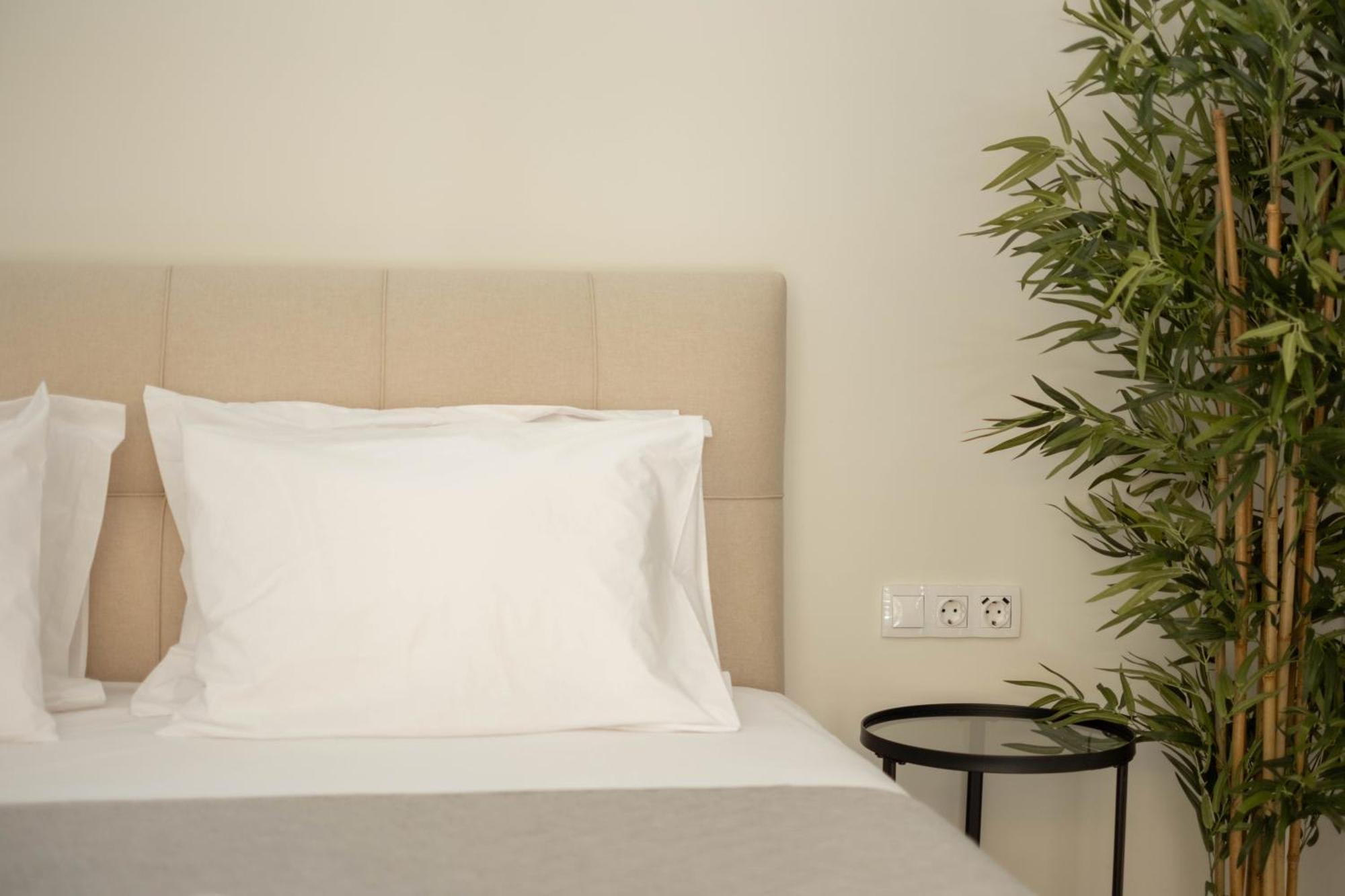 Living Culture Apartments アテネ エクステリア 写真